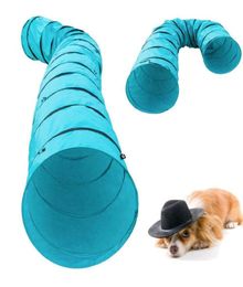 18039 Agility Training Tunnel Pet Dog Play Outdoor Obedience Oefening Equipment2611648