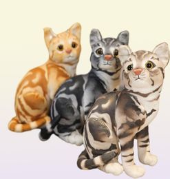 1836 cm ins zoals echte vatte kattenhond pluche pop gevulde pure kleuren grijs wit geel kitten speelgoed kleine huisdieren kinderen cadeau 220416362047