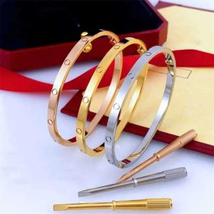 18k Designer Armband Mode-sieraden Bangle Rose Gold Sier Titanium Staal Diamanten Armbanden Nagelarmbanden voor Mannen Vrouwen 17cm-21cm