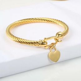 18k gouden armbanden Bangle kabel draad gouden zilveren kleur liefde hart charmebanden