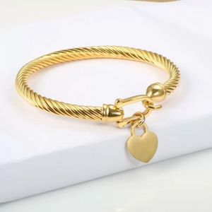 Bracelets en or 18 carats bracelet fil de câble doré argent rose couleur amour coeur charme bracelets bracelet avec fermeture à crochet pour femmes hommes designer bijoux de mariage cadeaux