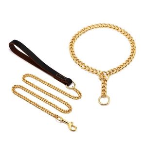 Collier de chien plaqué or 18 carats, chaîne de starter en acier inoxydable pour berger allemand, laisse en métal, accessoires pour animaux de compagnie pour grands chiens 10A 2011258k