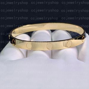 18K Vergulde roestvrijstalen armband Klassieke modearmband voor damesmeisje Bruiloft Moederdag Sieraden Damesgeschenken