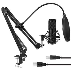 Kits de Microphone à condensateur 192KHz/24Bit BM800 USB pour Microphone de karaoké d'ordinateur pour l'enregistrement de Studio de son Microfone Gamer