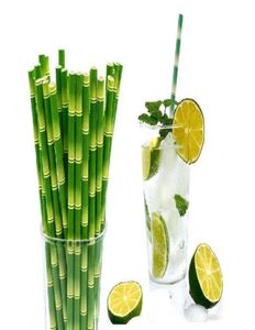 195cm 77quot Biologisch afbreekbaar Paper Straw