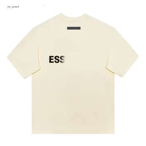 1977 Heren Essent T-shirt Designer Effen Kleur Designer Essent Pullover Sweatshirts Kleding Topkwaliteit Essentialls 4249 met capuchon