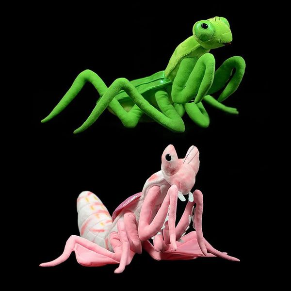 19 cm Hauteur Life Live LifeLIKE ORCHID MANTIS JOUETS PLUSS VIE VIE VIE insecte Soft Insect Malaysian Orchid Mantis Animaux en peluche Jouet pour les enfants 231221