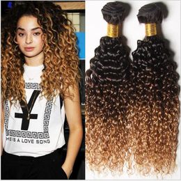 # 1B / 4 27 Tres tonos Ombre Paquetes de tejido de cabello humano virgen brasileño 3 piezas Jerry Curly Honey Blonde Ombre Extensiones de cabello humano Tramas dobles