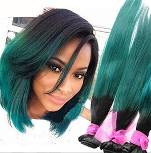 1B Vert Ombre Extensions de Cheveux 9A Ombre Brésilienne Cheveux Humains Weave Bundles 3 Pcs Lot Teal Ombre Brésilienne Cheveux Raides Bundles6799816