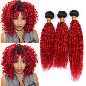 # 1B Red Ombre Brazilian Curly Human Hair Bundles Black and Bright Red Ombre Kinky Curly Weaves Extensiones de cabello virgen Dark Roots 300Gram