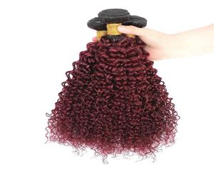 1BBeaux Ombre Hair Extensions 1b 99J Braziliaanse Kinky Krullend Haar Weave Rood Remy Ombre Menselijk Haar 3 4 Bundels1419868