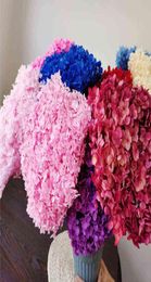 1Bunch40x20cm30 couleurs Anna hortensia branche entière préservé Bouquet de fleurs séchées Pograph maison bureau jardin décoration 2110279565483