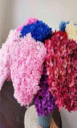 1Bunch40x20cm30 couleurs Anna hortensia branche entière préservé Bouquet de fleurs séchées Pograph maison bureau jardin décoration 2110279346954