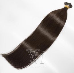 1g brin 100g pré-collé 4 brun foncé indien droit kératine simple double dessiné je pointe Remy vierge extensions de cheveux humains 7740255