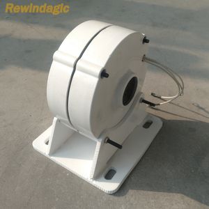 1KW 2KW 3KW 24V 48V RPM BAJO RPM NDFEB PMG Tierra rara Generador de imán permanente para molino de viento del generador de turbinas eólicas horizontales de bricolaje