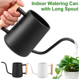 1L Watering kan kleine waterplaten binnen planten met houten handgreep roestvrijstalen waterpot w/ lange tuit tuin water geven kan 240508