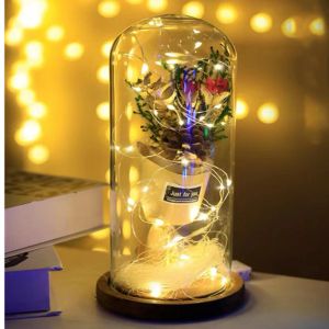 1m 2m 3m 5m 5m koperdraad LED -lichten Holiday Lighting Fairy Garland voor kerstboom Wedding Party Decoratie