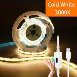Luces LED de 1m/2m/3m Franja White White Ra 90 5V CALIZANTE Sensor de movimiento USB Cambio de atenuación DIY Lámparas de bricolaje Luces lineales Cinta flexible para la pared de la luz de fondo del espejo de televisión del dormitorio