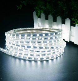 1M 5M 10M 220V LED bande chaîne lumière étanche Fiexble lumière ruban LED bande 3014 lampes LED pour 9937731