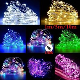 1m 5m 10m LED String Fairy Lights USB Copper Wire Wedding Festival Party Party Decoration Light Imperproof Outdoor Lighting281r