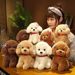 1 pk 22/28 cm Mooie krullend haar Teddy Dog Plush Toys Wears Collar Head Flower Teddy Dolls Gevulde zachte speelgoedkinderen Verjaardagsgeschenken 240429