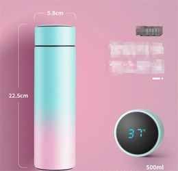 1pc 500ML isolation intelligente en acier inoxydable tasse colorée Mini Thermos tasse bouteille d'eau Led affichage numérique de la température Thermos