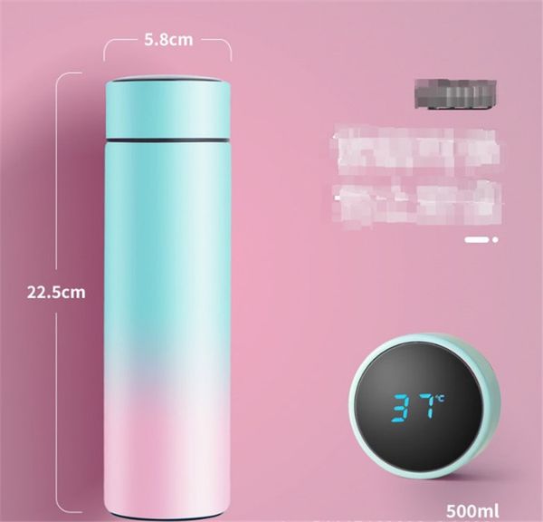 Minitermo de acero inoxidable con aislamiento inteligente, botella de agua con pantalla Digital Led de temperatura, 500ML, 1 ud.