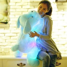 1pc 50cm chien lumineux poupée en peluche coloré LED chiens brillants enfants jouets pour fille kidz cadeau d'anniversaire WJ445 LJ200902