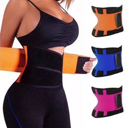 1 ST Rugondersteuning Neopreen Fitness Taille Molding Riem Elastische Magische Sticker Terug Taille Herstelriem Verstelbare Heren Vrije tijd Dag 231025