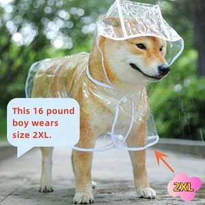 1 pc duidelijke transparante plastic regenjas poncho met capuchon voor speelgoed en kleine hondenkat alleen kleding 240429