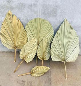 1pc fleur séchée feuille de ventilateur PU naturel pour le bricolage de la maison Affichage des matériaux de décoration préservés Palmier Palm pour décor de mariage3533216