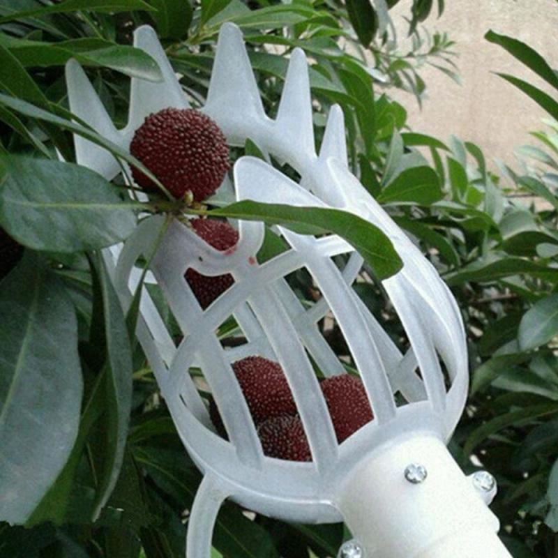 1-star tuin mand fruit picker hoofd multi-kleuren plastic fruit picking gereedschap catcher agricultural bayberry jujube plukbenodigdheden