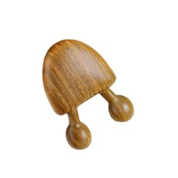 1pc Green Santalwood Massage facial peigne en bois Pièce en bois Green Santalwood Massage Eye Small Snail Peigne