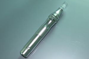 1 stk/partij Zilver Nieuwe Elektrische Auto Derma Pen Therapie Stempel Anti-aging Facial Micro Naalden elektrische pen Met retail verpakking DHL gratis verzending