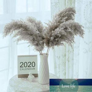 Bonsaï d'herbe de Pampas, 1 pièce, plantes séchées naturelles, fleur, grande décoration de Garde réelle pour la maison, Arrangement de Bouquet, livraison directe