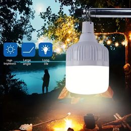 Ampoule LED d'urgence Rechargeable USB, indispensable pour le Camping en plein air, le Barbecue, les étals, la pêche, 1 pièce