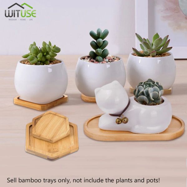 1PC BAMBOO BAMBOO PLANT PLANT POT ROUNE RONDE RECTANGE CACTUS CACTUS POT POT ISIME DESIGNIQUE DÉCOR DE BOLL