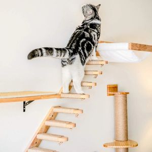 1pccat grattant l'escalade post mural chat hamac hamac meuble meuble animal chaton étagère de mur de chat en bois en bois chat arbre house 240401