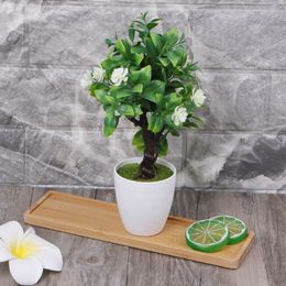 1pcrectangle / forme ronde Bamboo Soucoucer Planter un mini plateau de fleur de plante Plant Faveur Succulent Pot Pot Tray Simple Elegant Home Decor