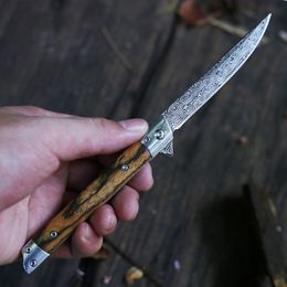 1 Pcs A1964 Flipper Couteau Pliant 3Cr13Mov Drop Point/Tanto Lame Palissandre Poignée Camping En Plein Air Randonnée Pêche EDC Dossier Couteaux 4 Styles