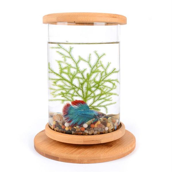 1 unids Vidrio Betta Fish Tank Base de Bambú Mini Fish Tank Decoración Accesorios Girar Decoración Fish Bowl Acuario Accesorios Y200228G