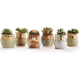 1 pièces belle mini pot en céramique bureau planteur pour plante succulente bonsaï fleur cactus hibou pot cadeaux pour femmes filles garçons enfants Y0314199y