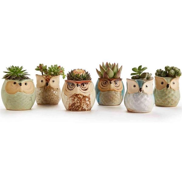 1 pièces belle céramique Mini Pot bureau planteur pour plante succulente bonsaï fleur Cactus hibou Pot cadeaux pour femmes filles garçons enfants Y0314211L