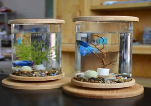 Mini réservoir à Base de verre en bambou, 1 pièce, décoration rotative, bol à poisson, bouteille écologique, accessoires d'aquarium 2683403