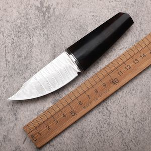 1 Stuks Nieuwe A2253 Damascus Vaste Mes VG10 Damascus Staal Drop Point Blade Ebbenhouten Handvat Outdoor Vissen Camping EDC Zakmessen Met Lederen Schede