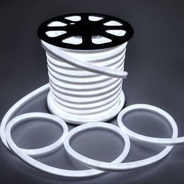 1 stks YWXLIGHT 5 M LED Strip Flexibele Neon Licht Waterdichte LED Lichtlamp AC 220 - 240V