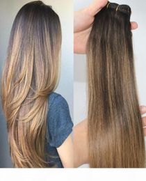 2 6 Extensions de cheveux humains Balayage Sights Filettes bruns bruns humains tisser les faisceaux vierges brésiliennes Extrémité épaisse 100gramme un SE3106530