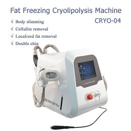 2 Handgrepen Cryolipolysis Freezing Cool Body Sculpting Machine voor Body Slimming Fat Removal Personal Use Cryotherapy Beauty Slimming