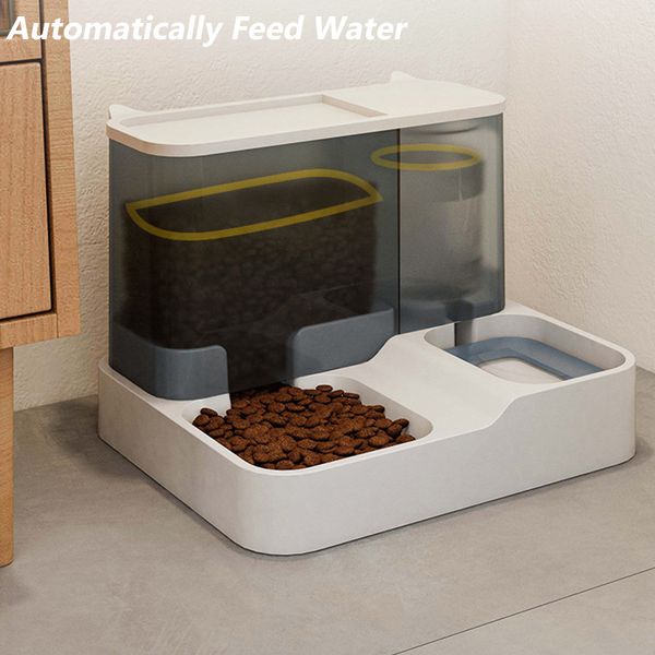 2 en 1 chat Automatic Feeder Bowl Dispensateur d'eau 3,8 L de grande capacité Fluant pas de bouche humide chiot en train de boire des fournitures pour animaux de compagnie