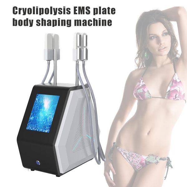 2 EN 1 cryolipolyse graisse gel minceur cryoskin ems forme machine cryothérapie lipolyse équipement de beauté